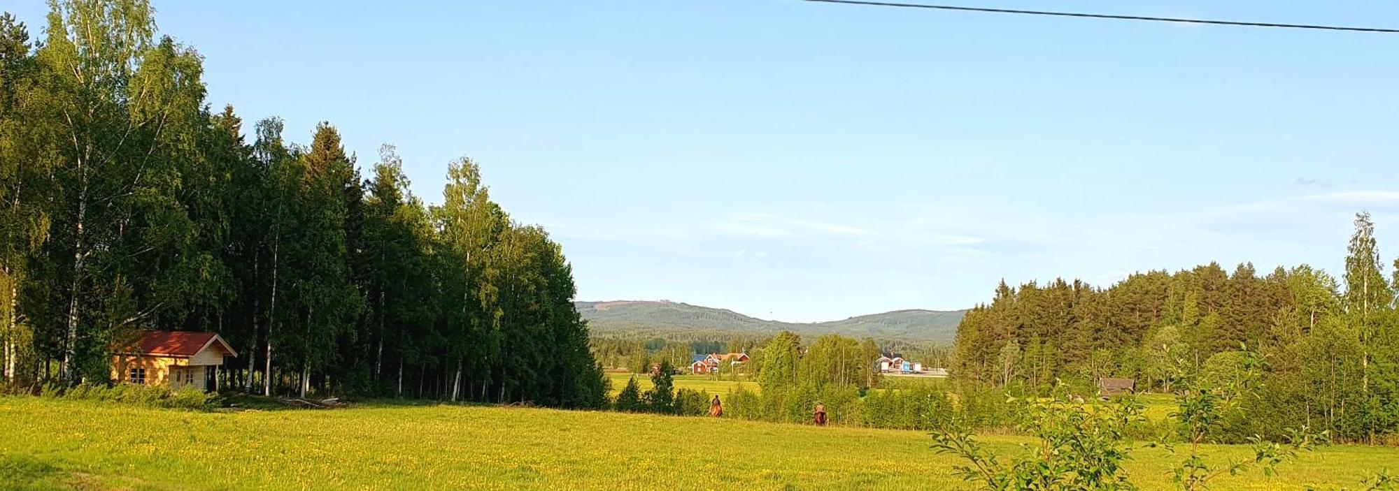 Hotel Skalbo Gardsglamping Järvsö Exterior foto